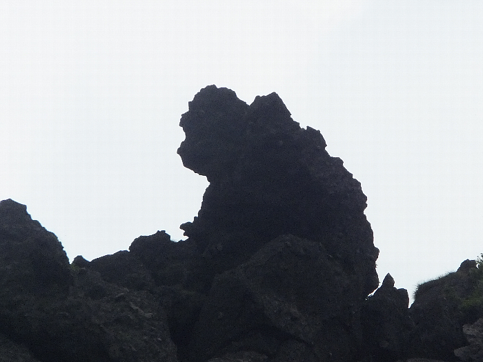 北千里浜のゴリラ岩