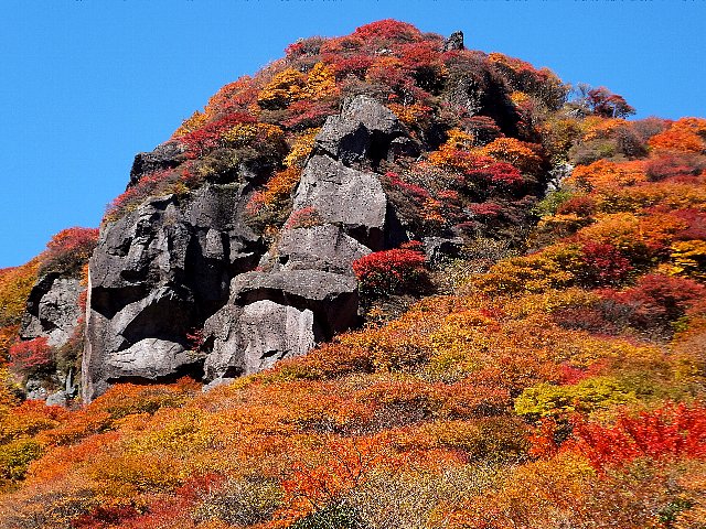 三俣山、大鍋の底から見上げる北峰南斜面の紅葉と岩峰