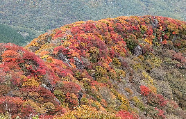 三俣山の紅葉