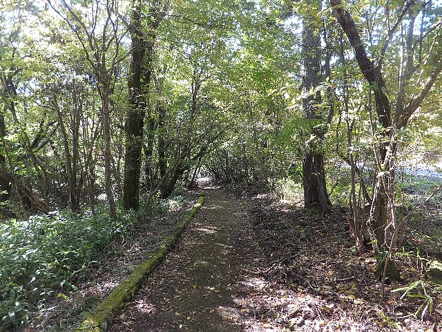 九州自然歩道