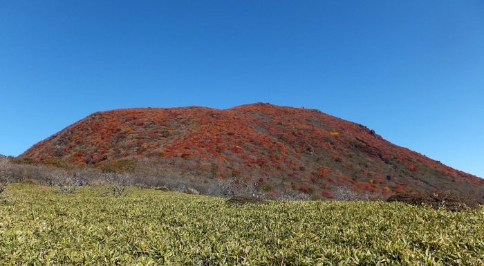 岩井川岳分岐から望む扇ヶ鼻の紅葉