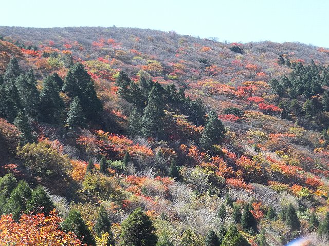 猟師岳の紅葉