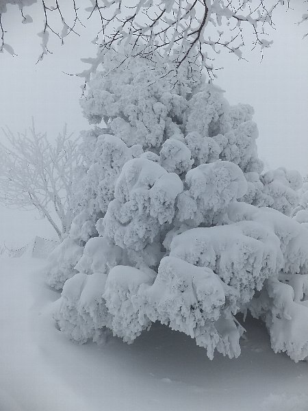 雪景色の英彦山