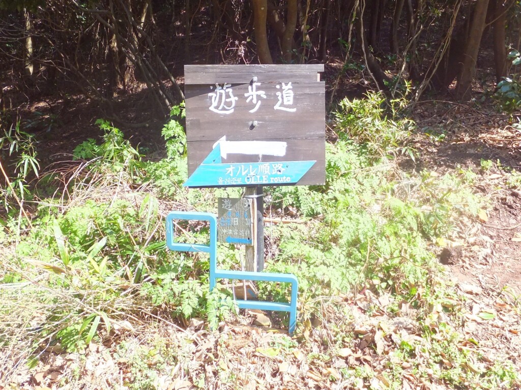 九州オルレ　宗像・大島コース